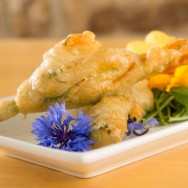 Battered Courgette Flowers